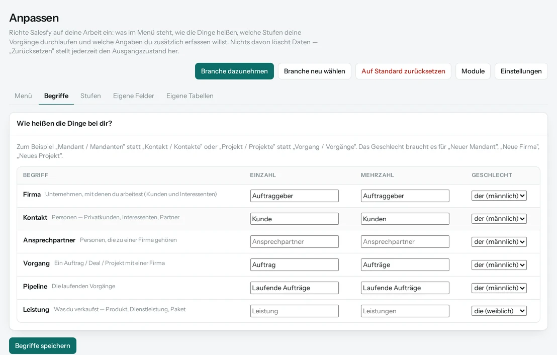Anpassen in Salesfy: Begriffe für Firma, Kontakt und Vorgang in Einzahl und Mehrzahl.